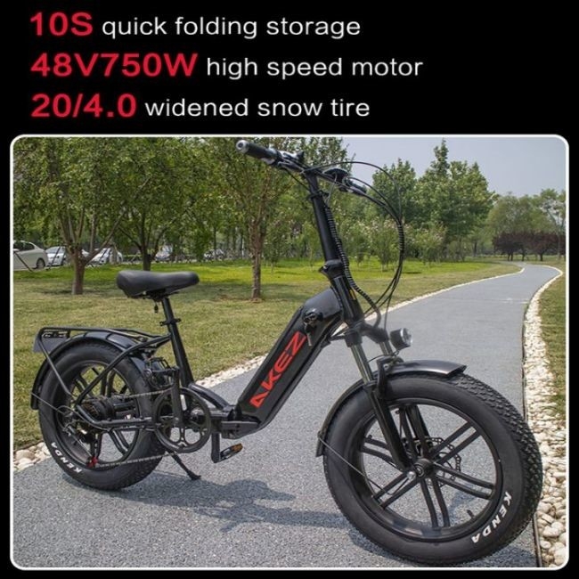 60km Aluminium Alloy 21 Speed Electric Bike Double Disc Brake