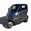 New Energy Lithium Battery Electric Vehicle Fat Tire Tricycle With Rear Seat