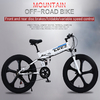 Magnesium Alloy Lithium Battery Foldable Electric Bicycle 60km