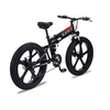 Magnesium Alloy Lithium Battery Electric Bike , 48V 500W Electric Bicycle
