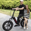 Variable Speed 13Ah 48V Lithium Electric Bike 21 Speed