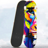 Aluminum Alloy Paint Skateboard Surface Custom for Beginners
